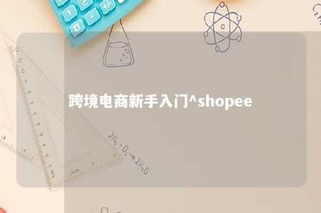 跨境电商新手入门^shopee 跨境电商新手入门视频教程在线