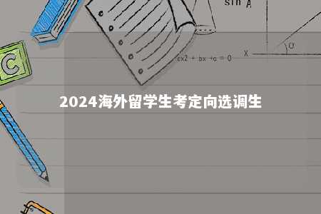 2024海外留学生考定向选调生